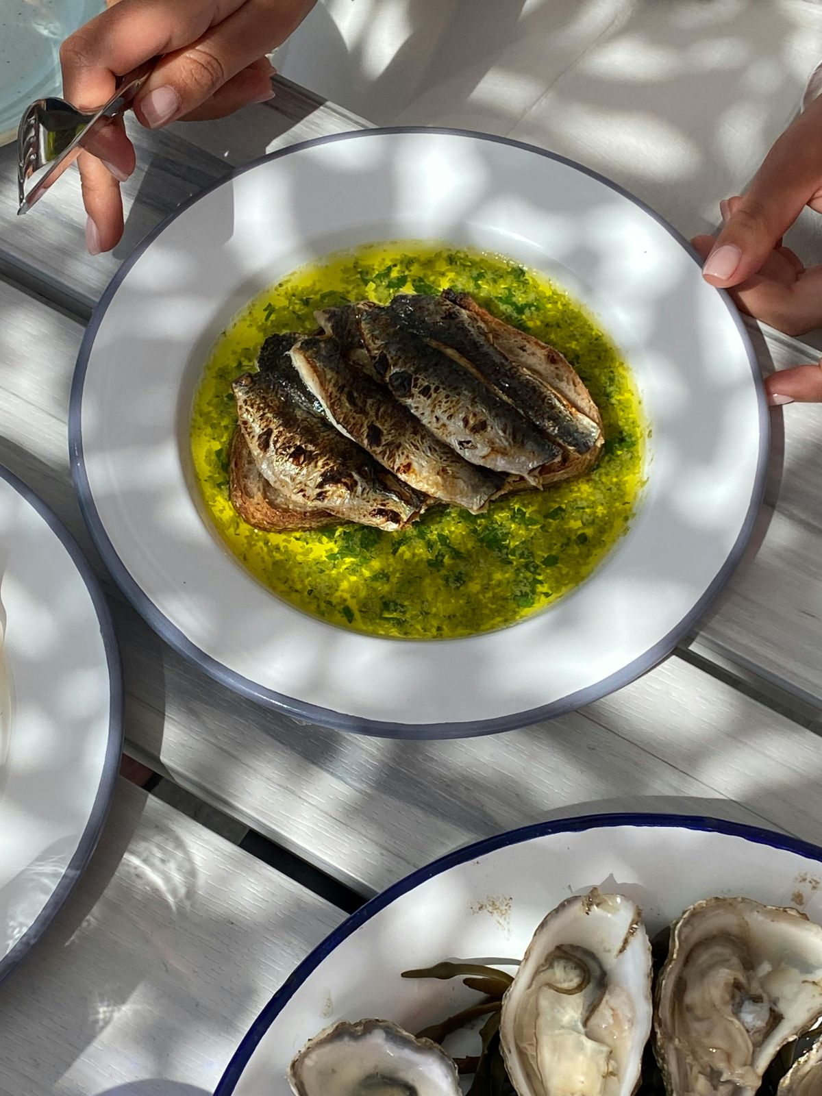 white plate on grey wooden table filled with olive oil, sardines and herbs