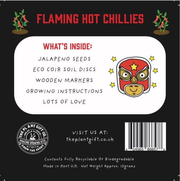 Mini Grow Your Own Jalapeno Chillies Kit